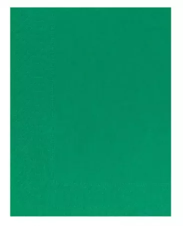 2400 Serviettes Ouate 2 plis 30x39 VERT LUMIERE