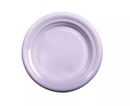 25 Assiettes D22 PP Plates R&eacute;utilisable 20gr BLANC