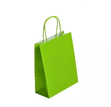 250 Sacs Kraft Tendance 23+12x30 ANIS / 21370