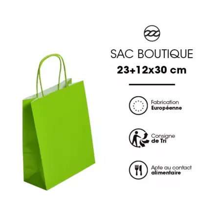 250 Sacs Kraft Tendance 23+12x30 ANIS / 21370