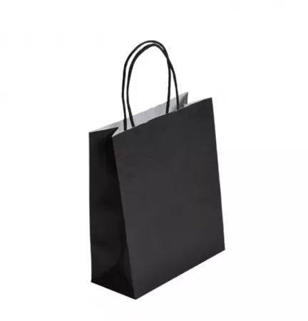 250 Sacs Kraft Tendance 23+12x30 NOIR / 21277