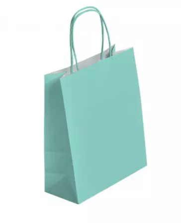 250 Sacs Kraft Tendance 23+12x30 VERT D\'EAU / 21274