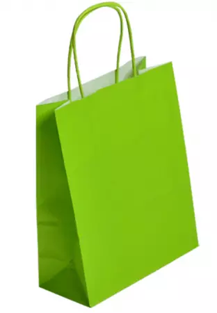 250 Sacs Kraft Tendance 35+14x40 ANIS / 21371