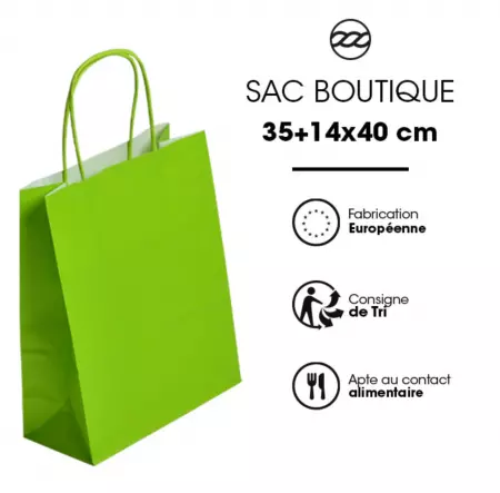 250 Sacs Kraft Tendance 35+14x40 ANIS / 21371