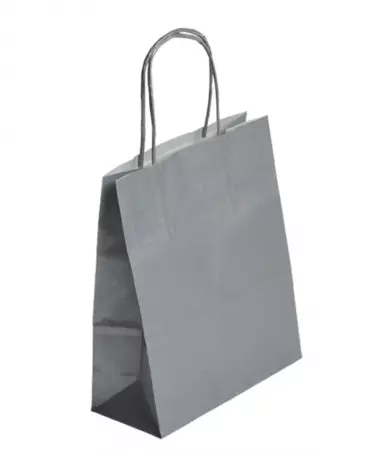 250 Sacs Kraft Tendance 35+14x40 ARGENT / 21335