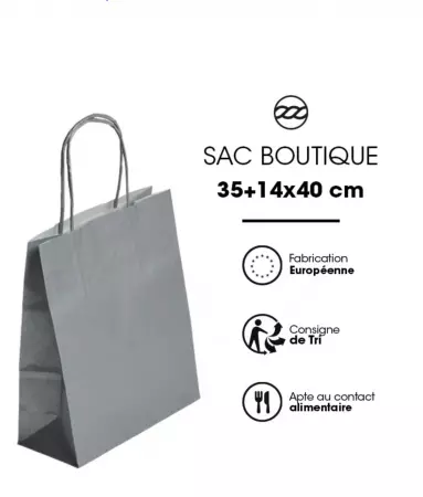 250 Sacs Kraft Tendance 35+14x40 ARGENT / 21335