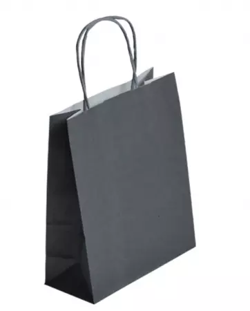 250 Sacs Kraft Tendance 35+14x40 GRIS / 21332