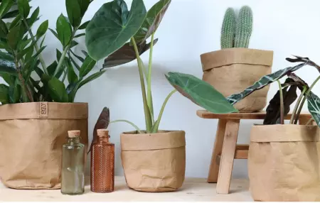 3 Sacs SIZO BAG D15 H15