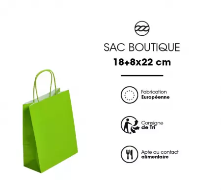 300 Sacs Kraft Tendance 18+8x22 ANIS / 21369