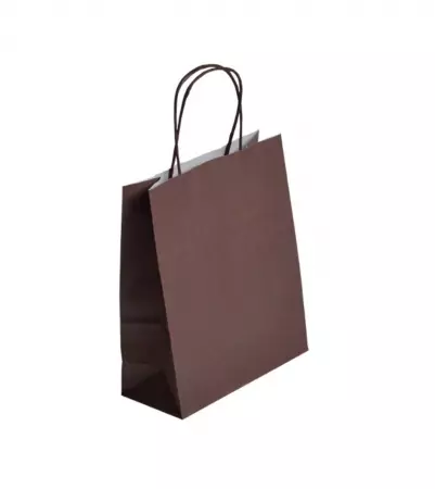 300 Sacs Kraft Tendance 18+8x22 CHOCOLAT / 21385