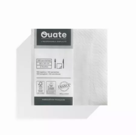4000 Serviettes 2 plis 20x20 BLANC