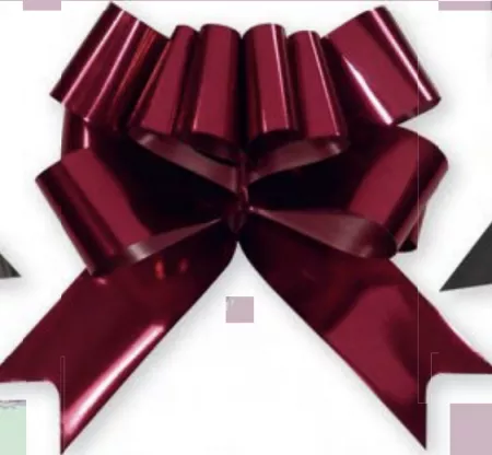  5 NOEUDS PAPILLON MIROIR BORDEAUX