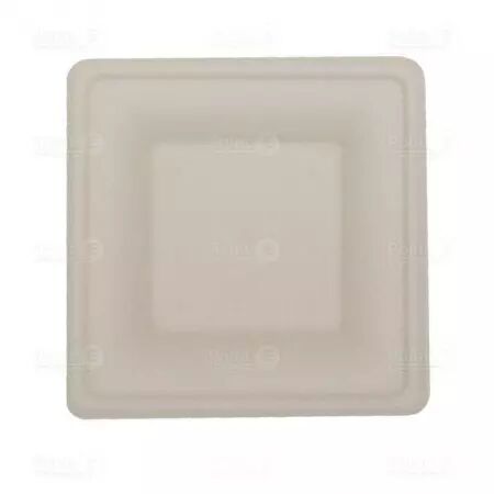 50 Assiettes Carr&eacute; D20cm Fibre de Canne