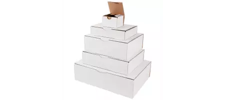 50 Boites Postale Carton 150x150x60 BLANC