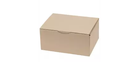 50 Boites Postales DF10 250x150x100 Ecrue