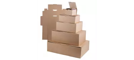 50 Boites Postales DF10 250x150x100 Ecrue