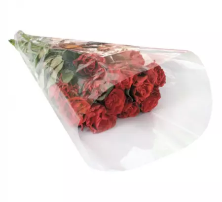 50 Cones Polypro Neutres 40x25x10