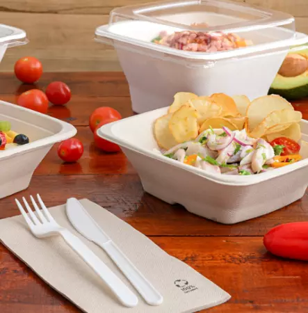 50 Couteaux 18cm Biod&eacute;gradable Compostable CPLA