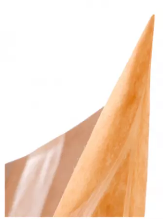 50 SAC AUTO FERMETURE / GA258.04