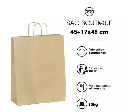 50 Sacs cabas kraft BRUN PF 45+17x48 / 21043