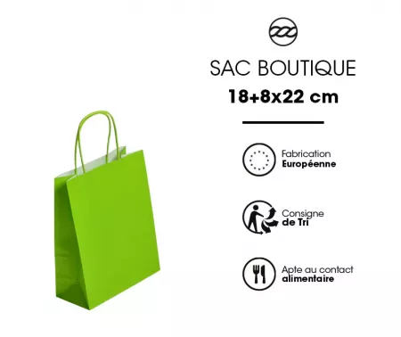 50 Sacs Kraft Tendance 18+8x22 ANIS / 21369