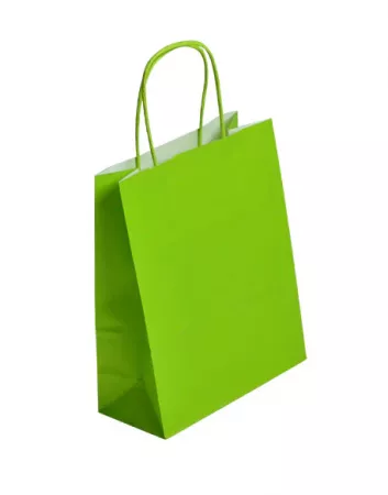 50 Sacs Kraft Tendance 18+8x22 ANIS / 21369