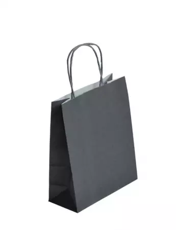 50 Sacs Kraft Tendance 18+8x22 GRIS / 21330