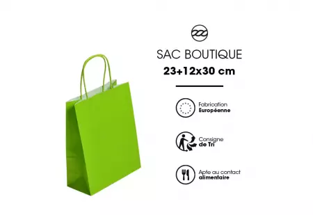 50 Sacs Kraft Tendance 23+12x30 ANIS / 21370