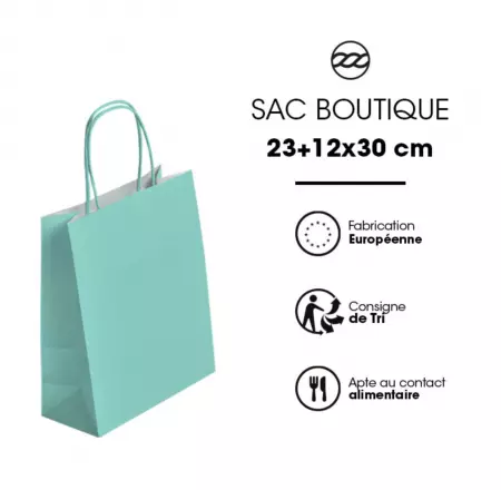 50 Sacs Kraft Tendance 23+12x30 VERT D\'EAU / 21274