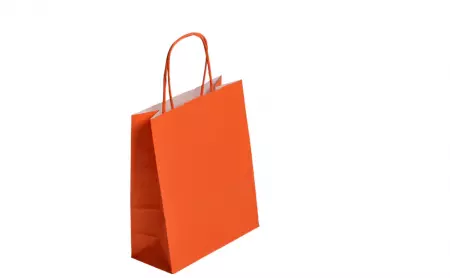 50 Sacs Kraft Tendance 35+14x40 ORANGE / 21368