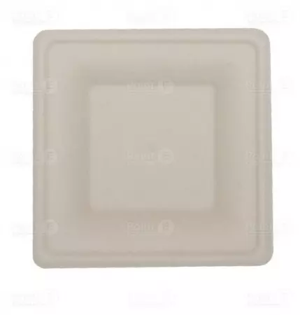 500 Assiettes Carr&eacute; D26cm Fibre de Canne