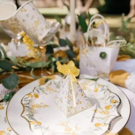 8 Assiettes Mimosa Citrons Carton Feuillages et Or 23cm
