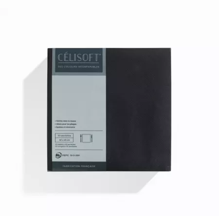 800 Serviettes Intiss&eacute; 40x40 EBENE