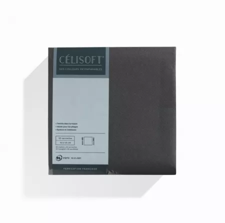 800 Serviettes Intiss&eacute; 40x40 TITANE