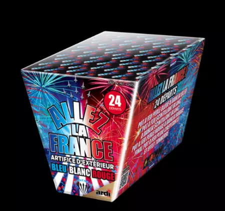 Allez la france EVENTAILLE 24 dep