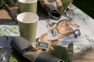 ARDOISE ECOLE SUR PINCE BLANCHE X4