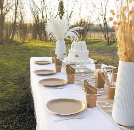 ASSIETTES FESTONNEES 23CM KRAFT ET OR X 8 gg