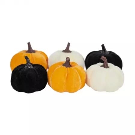 Assortiment de citrouille x6