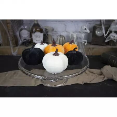 Assortiment de citrouille x6