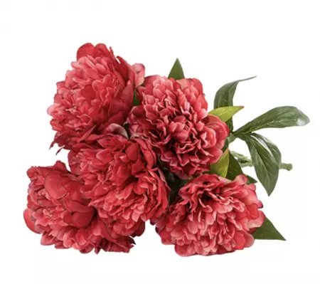 Bouquet de 5 Pivoines Fuchsia et Vert 49cm