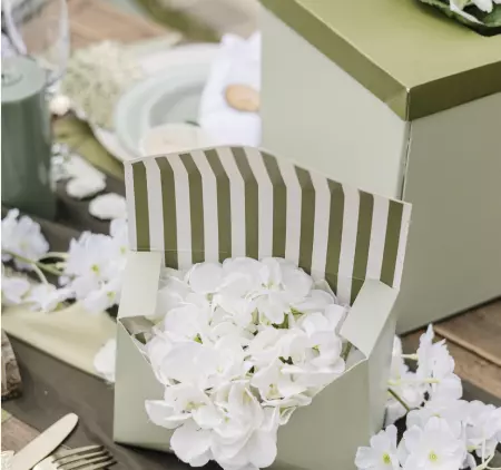 BOX SURPRISE VERT SAUGE