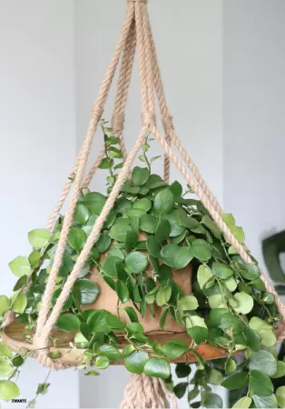 CORDE JUTE 7X5M ROUGE / ZW820106