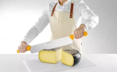 Couteau &agrave; fromage &agrave; double manche lame 380 mm