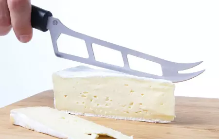 Couteau &agrave; fromage pour fromage mou lame 160 mm