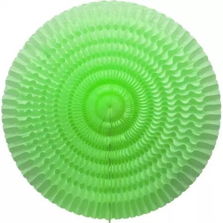 Eventail alv&eacute;ol&eacute; diam. 50 cm VERT POMME /CO08101VO