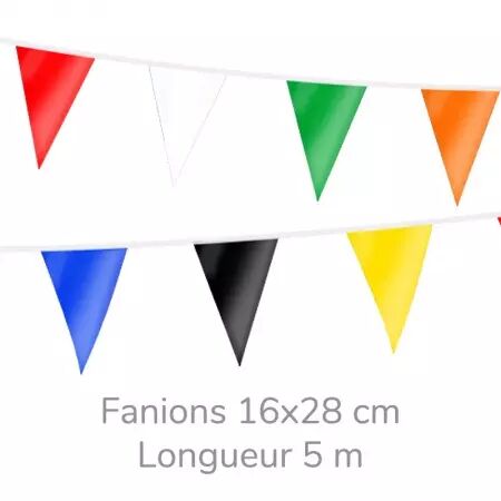 Guirlande 5m de 15 fanions triangulaire