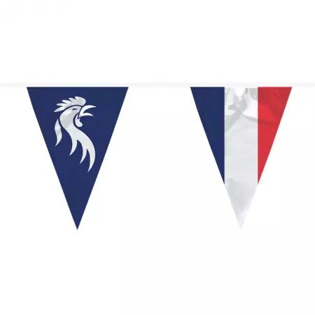 Guirlande fanions 30 x 20 cm  FRANCE