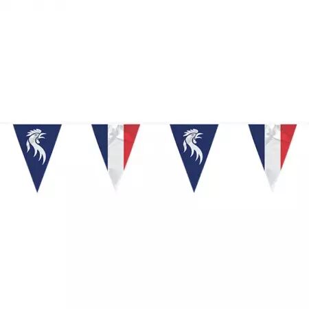 Guirlande fanions 30 x 20 cm  FRANCE