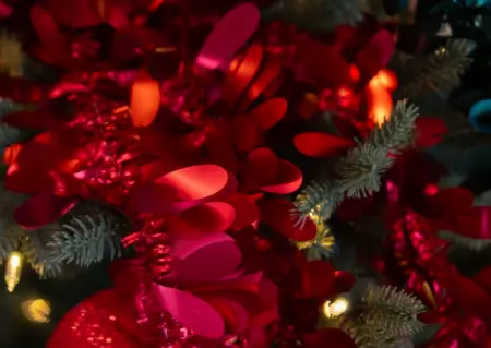 GUIRLANDE NOEL LIBELLULE ROUGE MAT