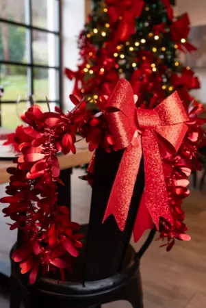 GUIRLANDE NOEL LIBELLULE ROUGE MAT